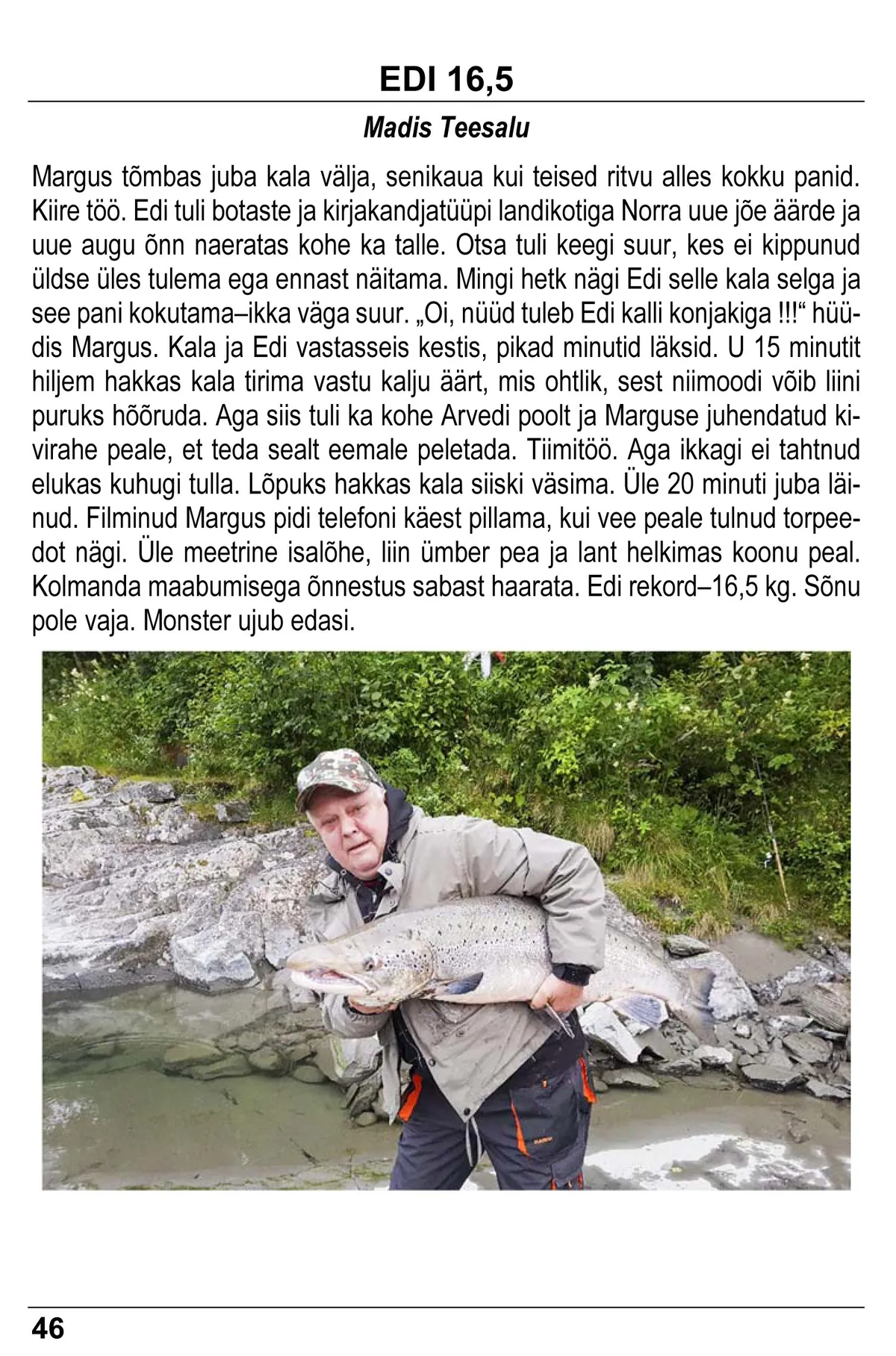 Lõige raamatust 7